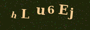 Validation image