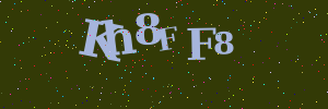 Validation image