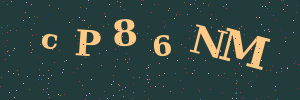 Validation image