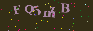 Validation image