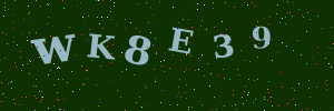 Validation image