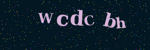 Validation image