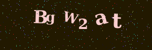 Validation image