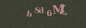 Validation image
