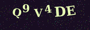 Validation image