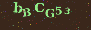 Validation image