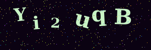Validation image