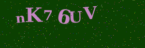 Validation image