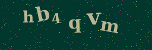 Validation image