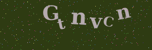 Validation image
